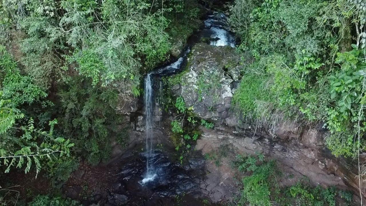 Yasi Yatere Reserva Agroecologica El Soberbio Eksteriør bilde