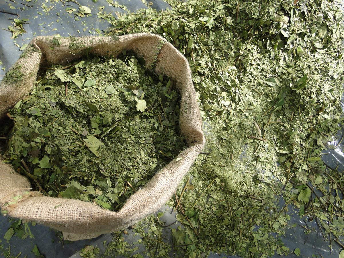 Yasi Yatere Reserva Agroecologica El Soberbio Eksteriør bilde